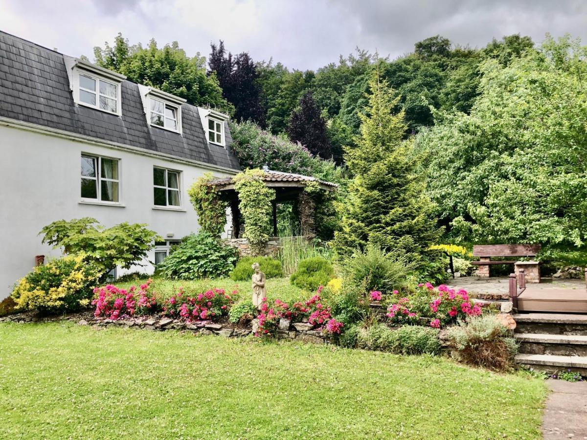 Belvedere Guest house Cork