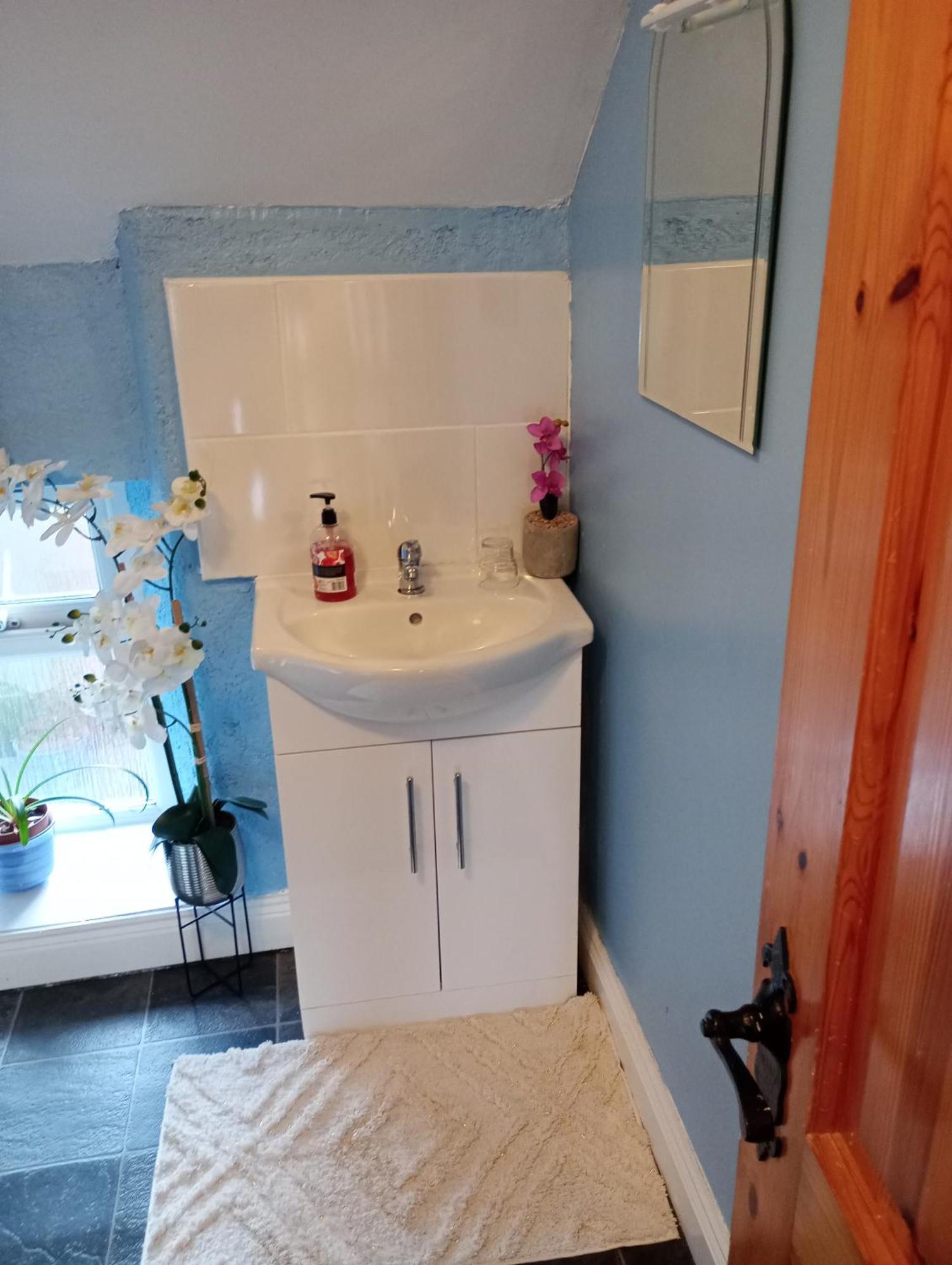 Comfy Private Room And Bathroom On The Top Floor Of A Home Stay Ten Mins Walk To The Ctr, Two Flights Of Stairs To Climb Cork