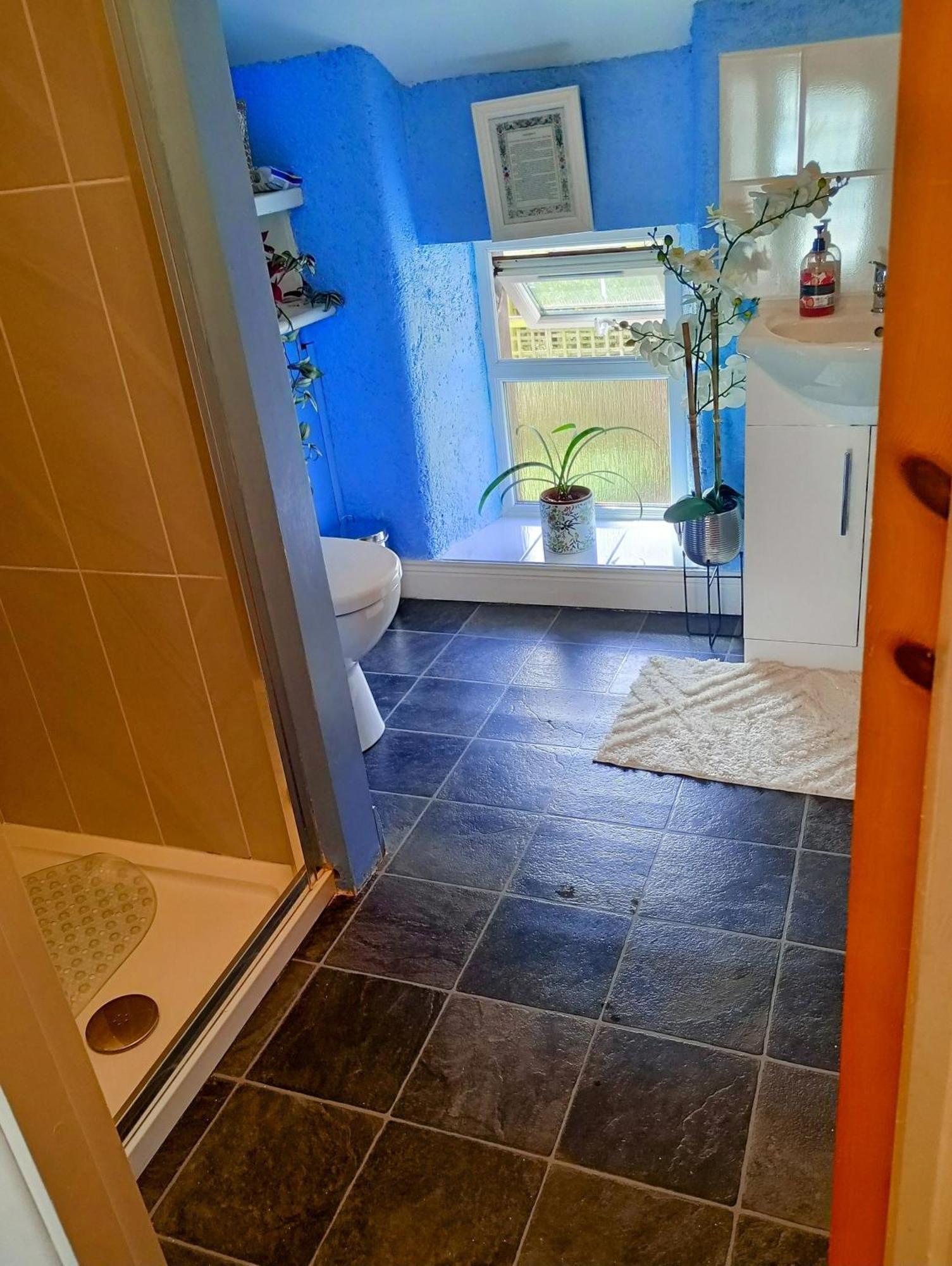 Comfy Private Room And Bathroom On The Top Floor Of A Home Stay Ten Mins Walk To The Ctr, Two Flights Of Stairs To Climb * Cork