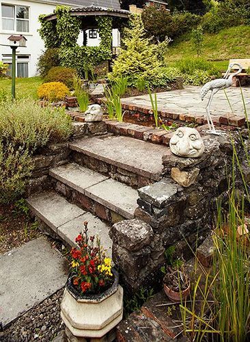Belvedere Cork