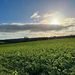 Arasan Le Radhairc Faoin Tuath