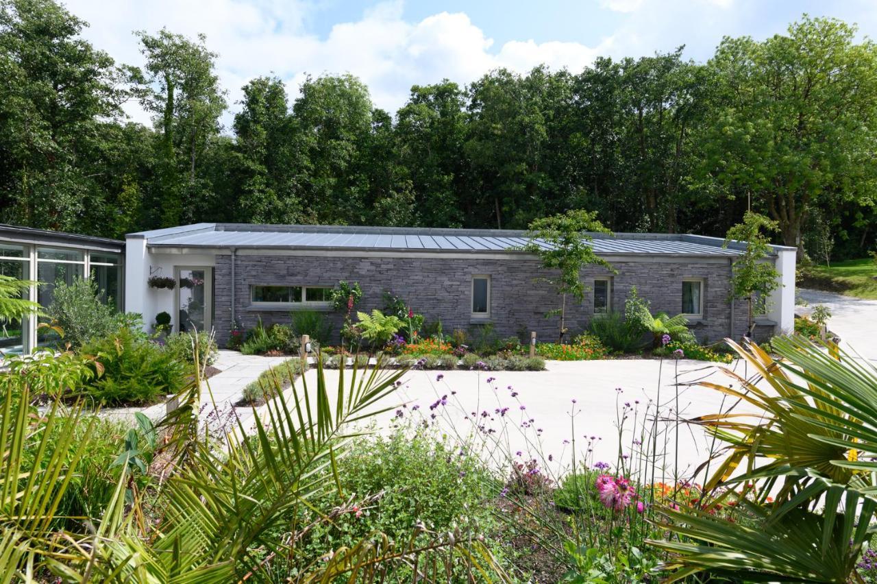 Satori Holiday home *