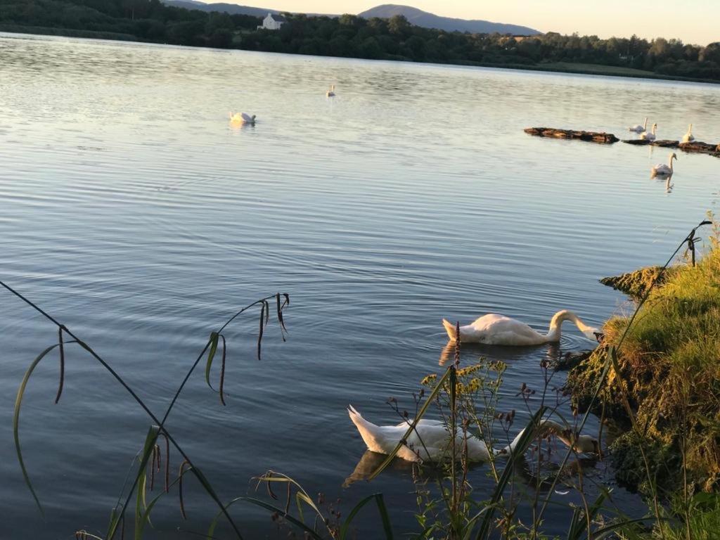 Apartment Lakeside Lookout Bantry