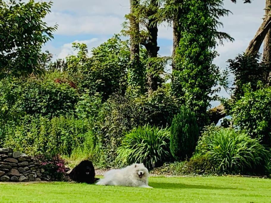 Quiet Countryside Retreat * Cork