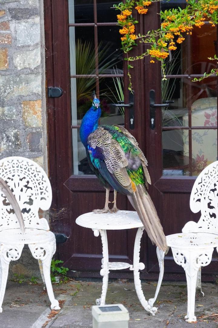 Apartment Ballea Castle Cork