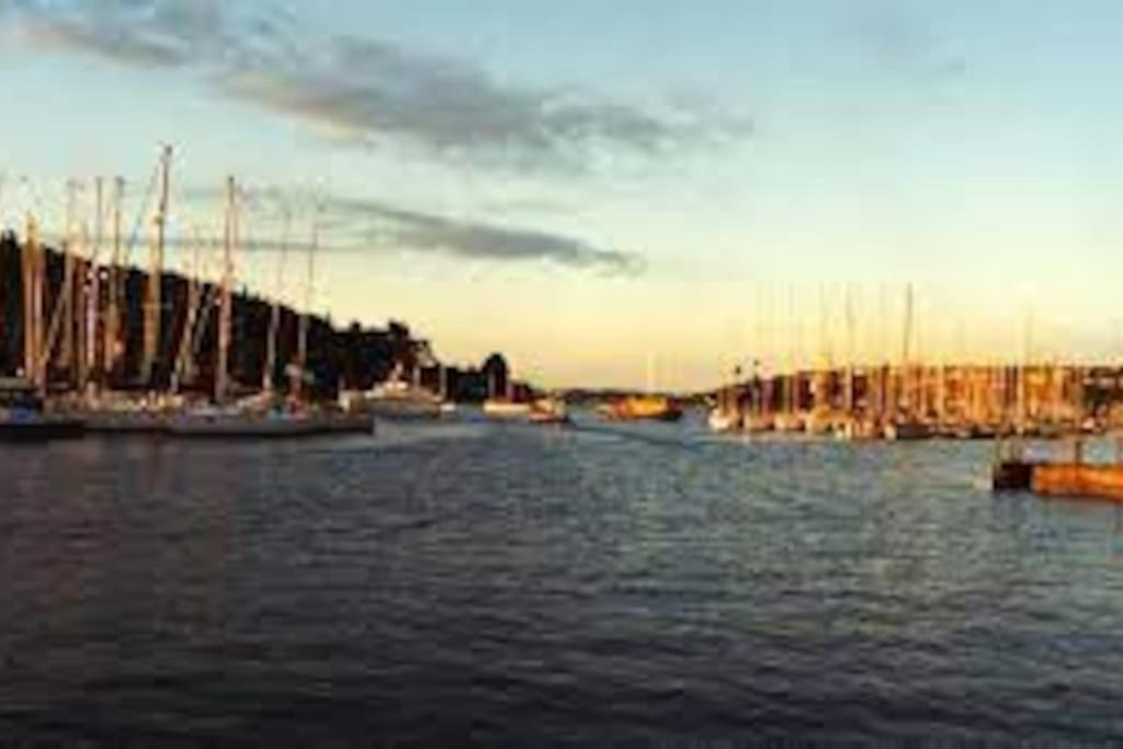 Cosy Cork