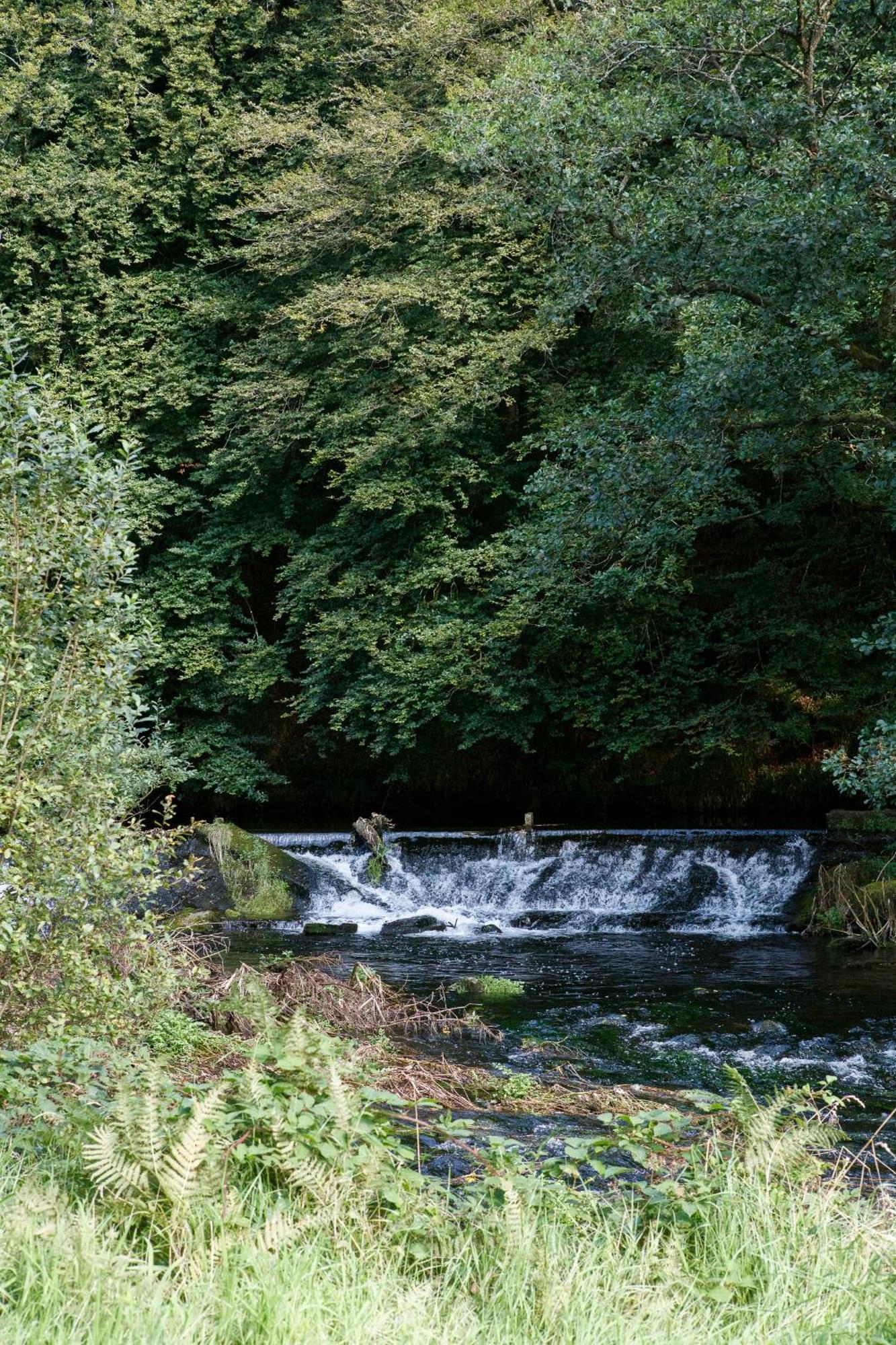 Villa Dripsey Castle Estate Cork