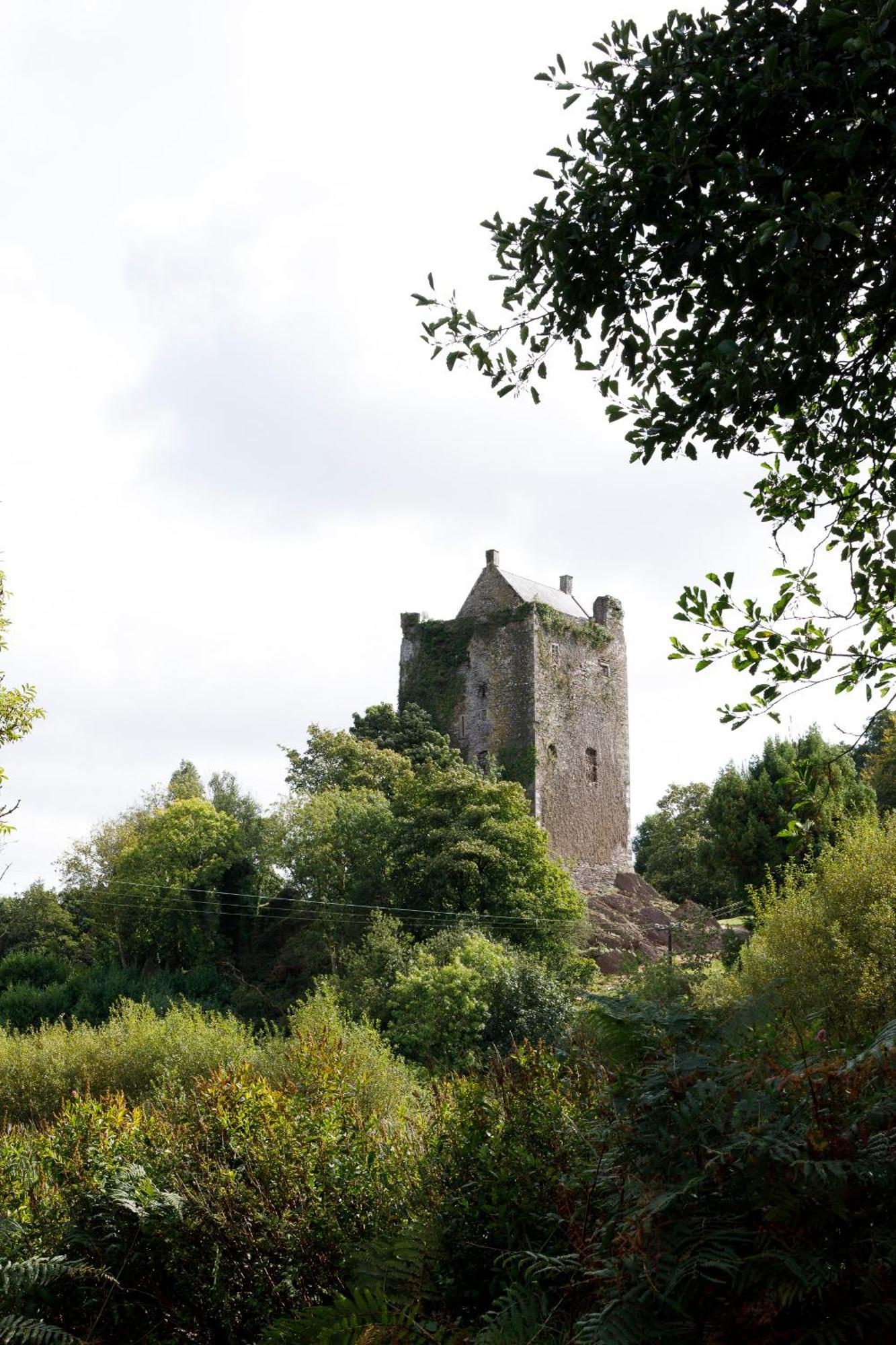 Dripsey Castle Estate Villa Cork