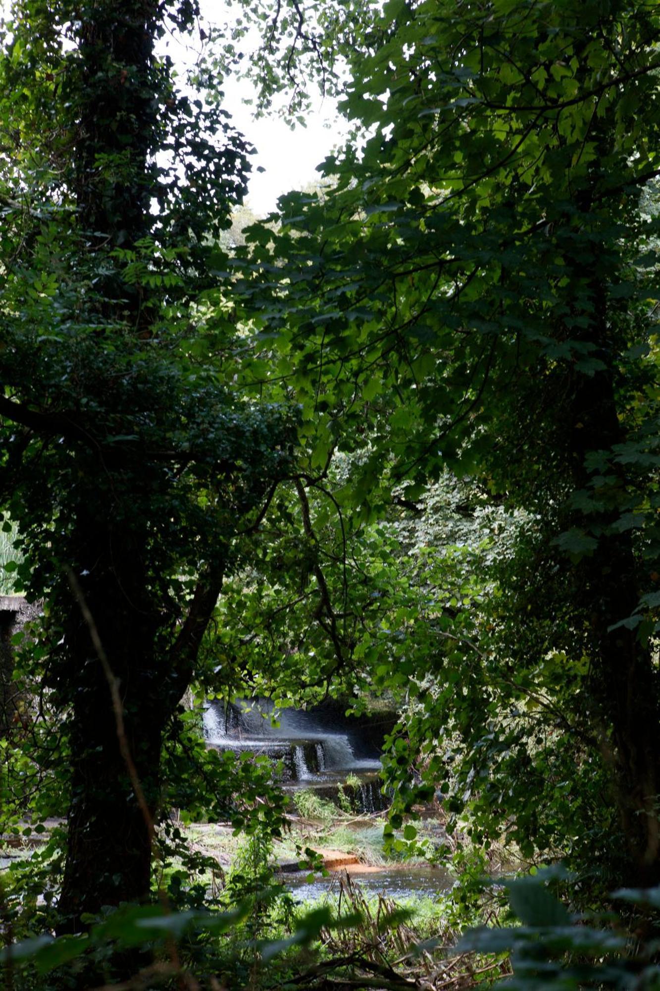 Villa Dripsey Castle Estate