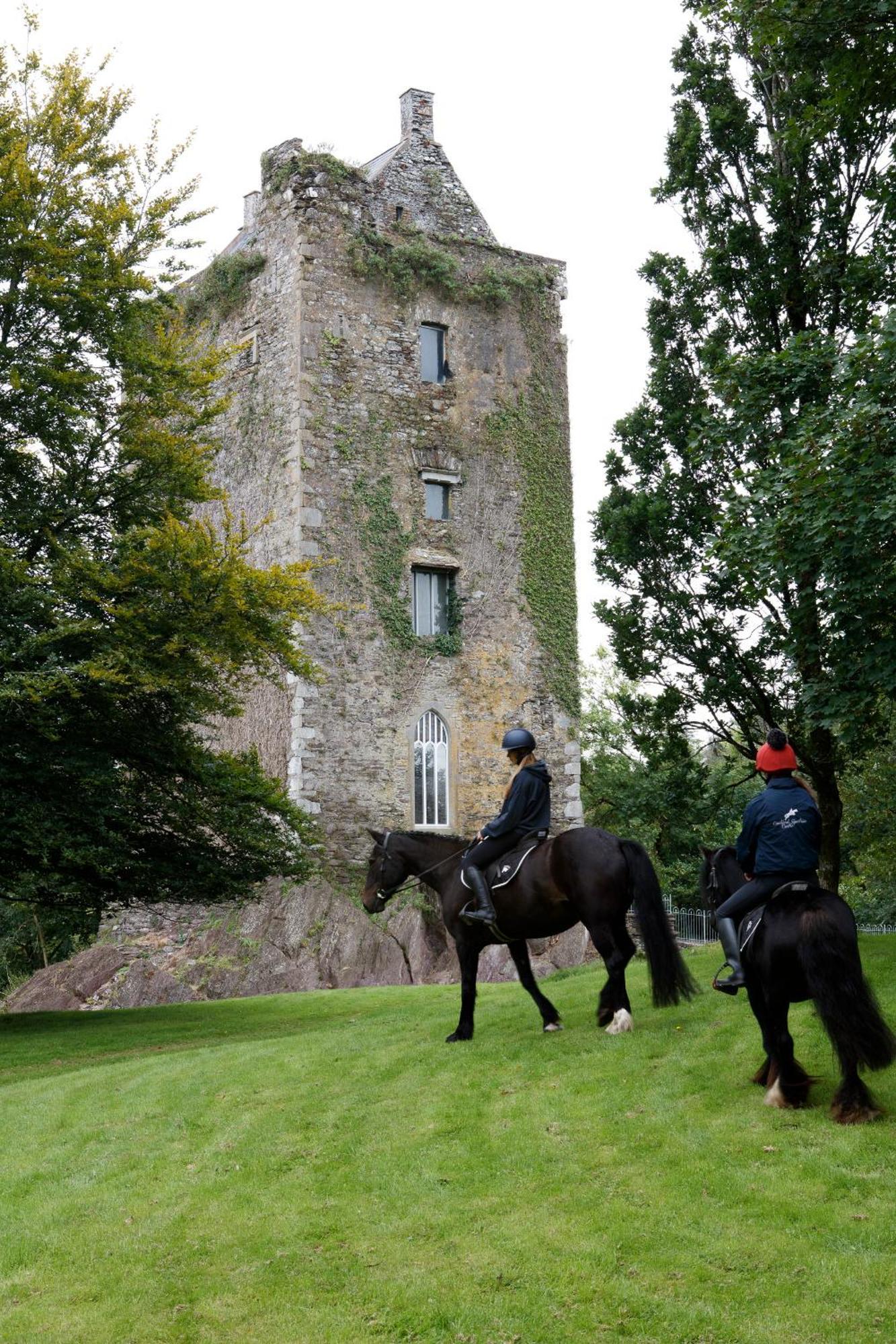 Villa Dripsey Castle Estate *