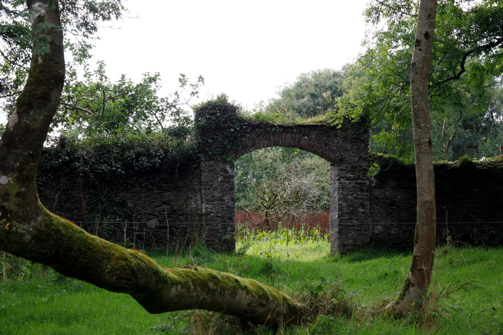 Dripsey Castle Estate