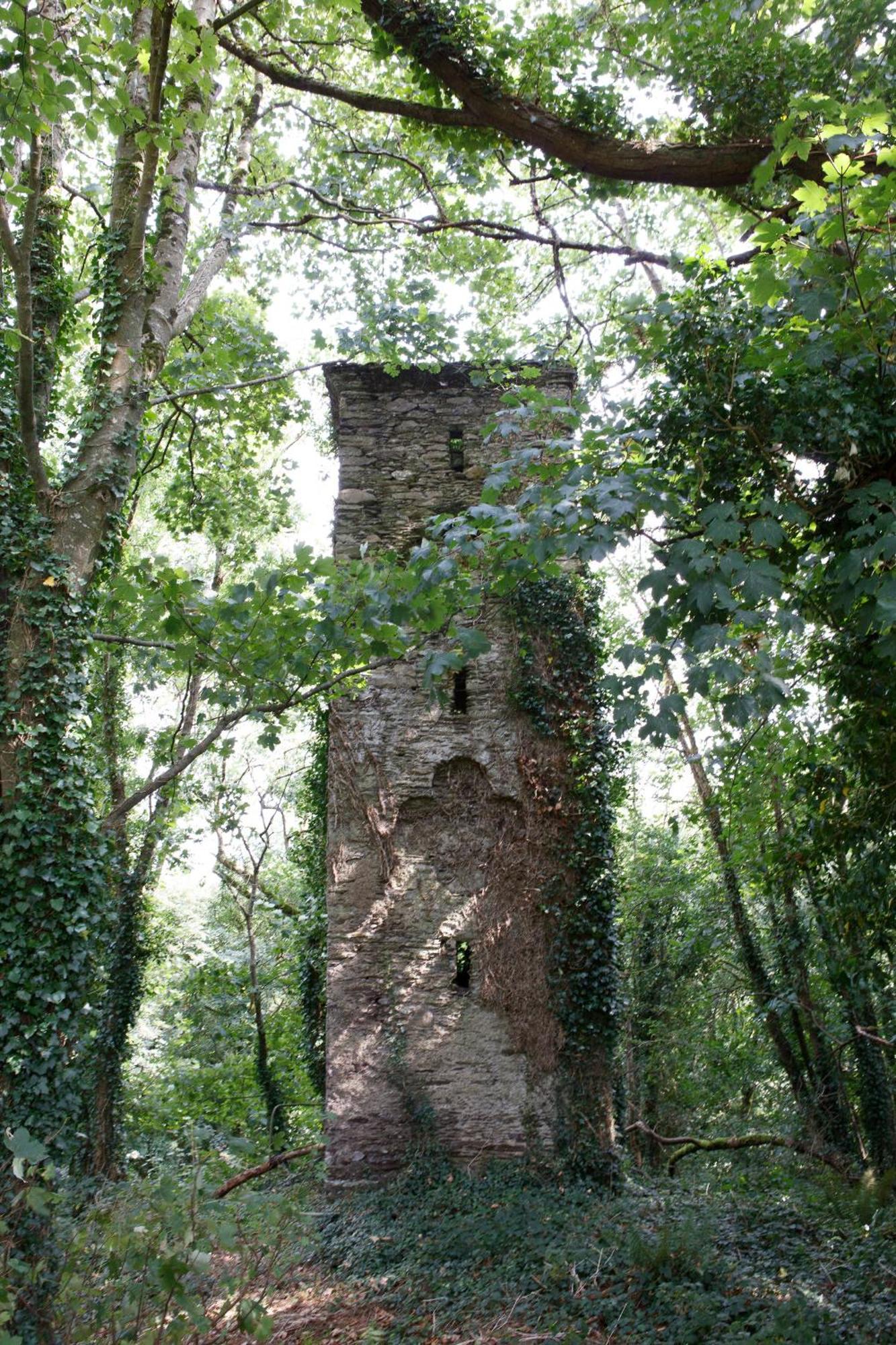 Dripsey Castle Estate