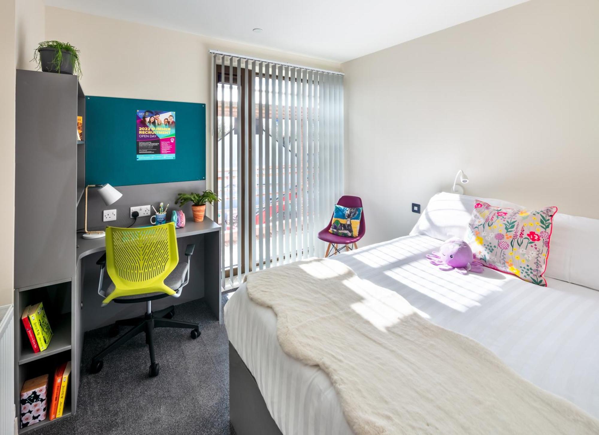 Crow's Nest - Ucc Summer Beds Apartment Cork
