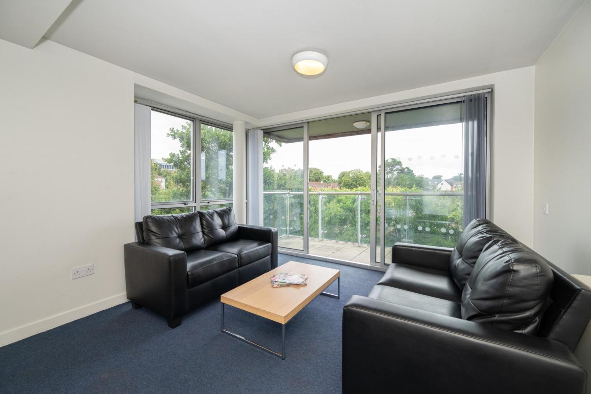 Apartment Victoria Mills - Ucc Summer Beds Cork