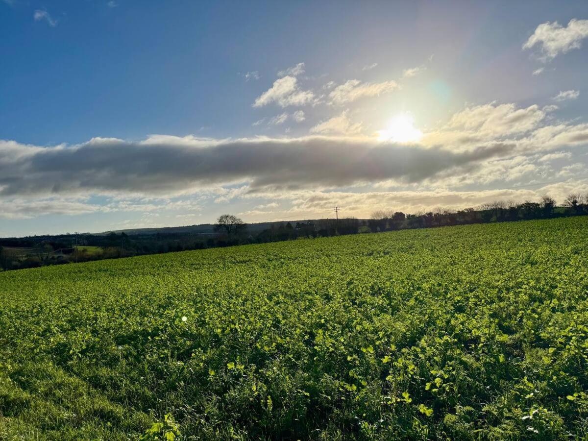 Arasan Le Radhairc Faoin Tuath