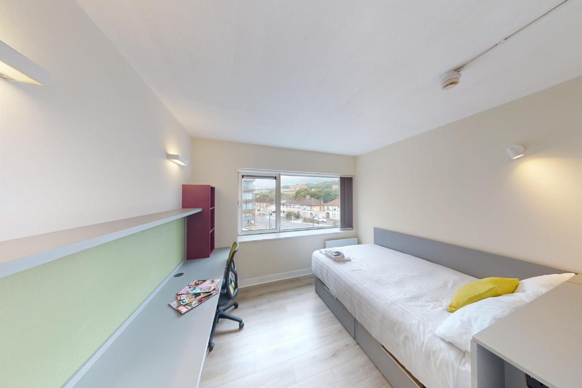 Apartment Victoria Mills - Ucc Summer Beds Cork