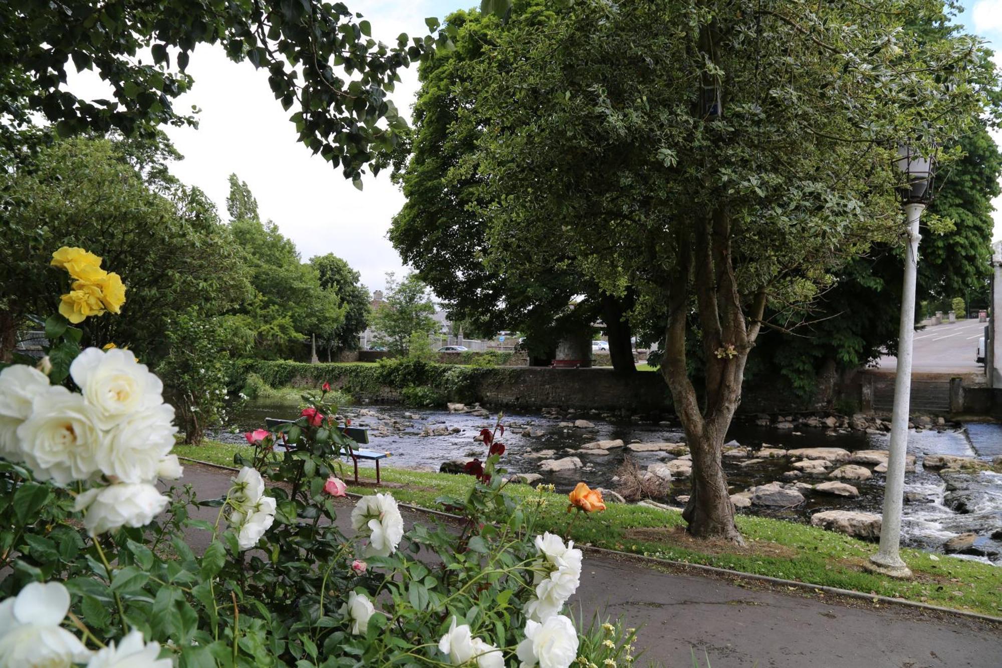 Iec Campus Cork