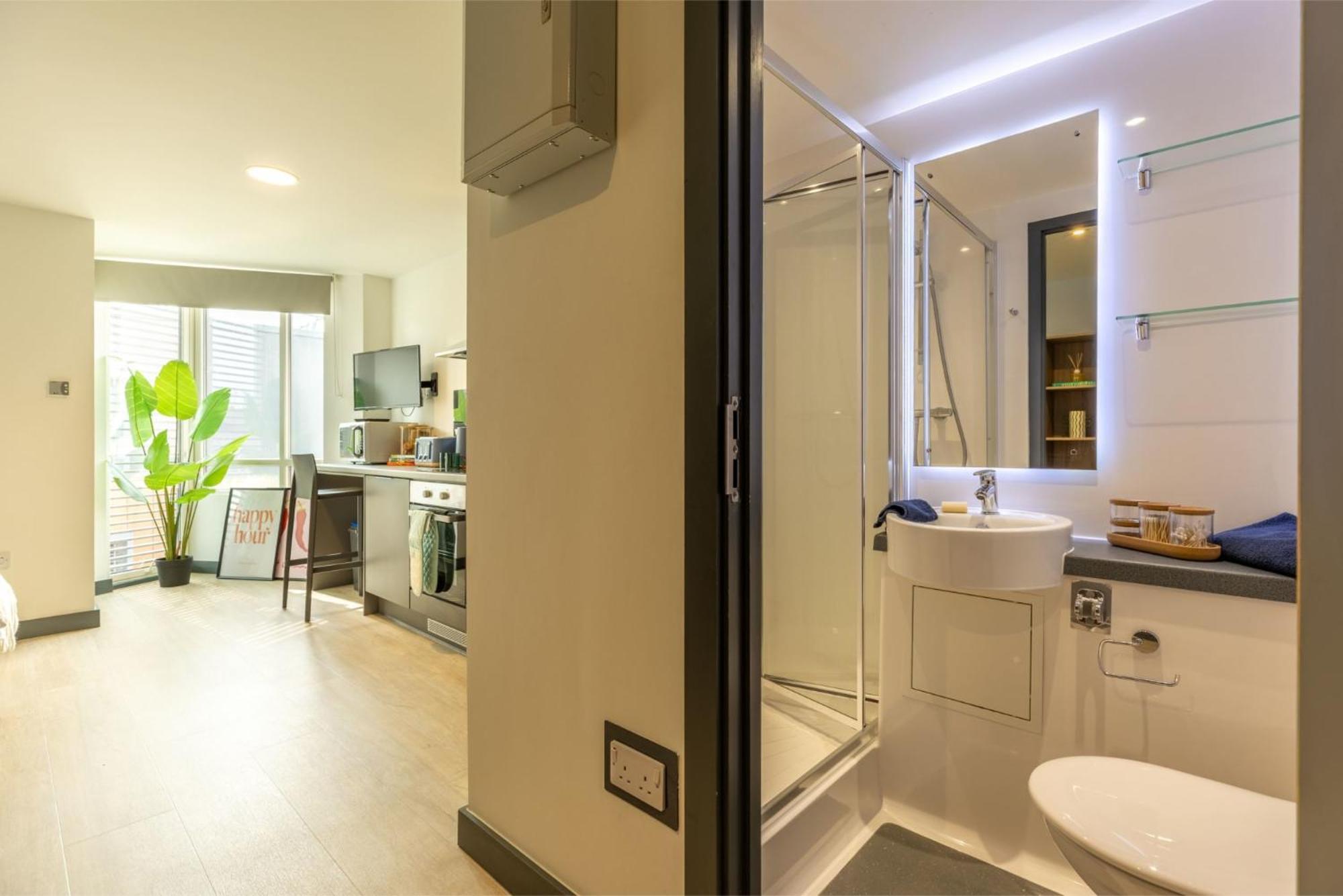 Curraheen Point In Apartment Cork