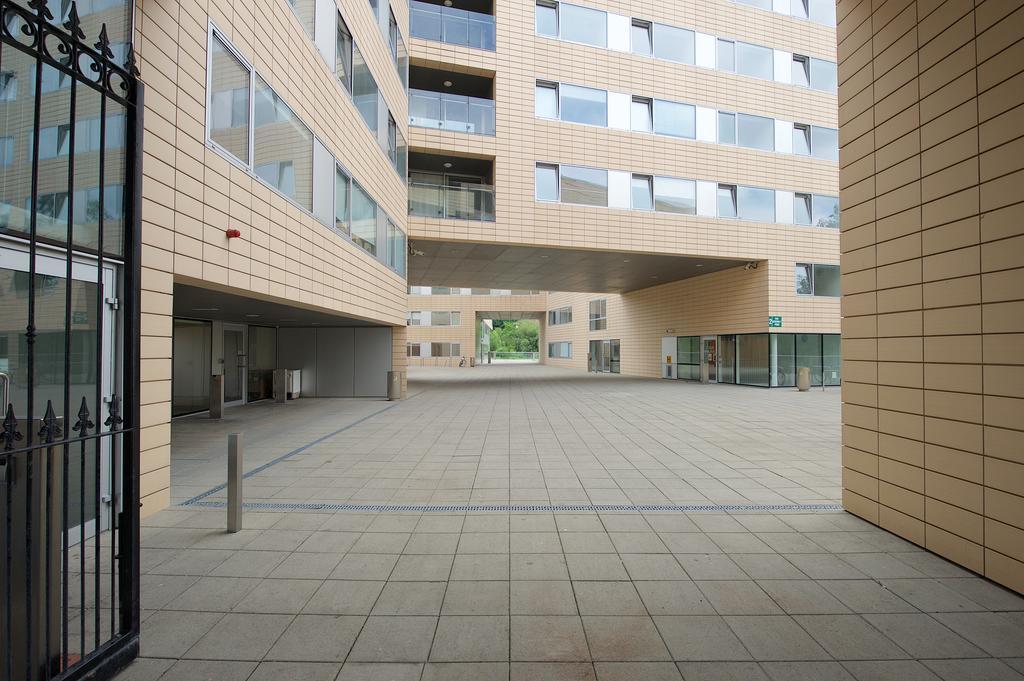 Victoria Mills - Ucc Summer Beds