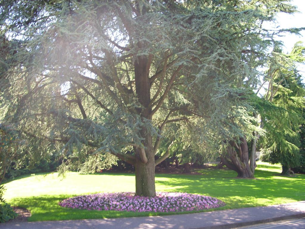 Brookfield Holiday Village Cork