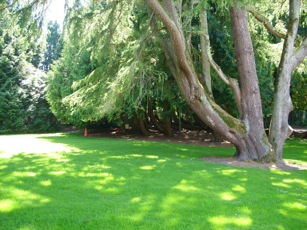 Brookfield Holiday Village * Cork