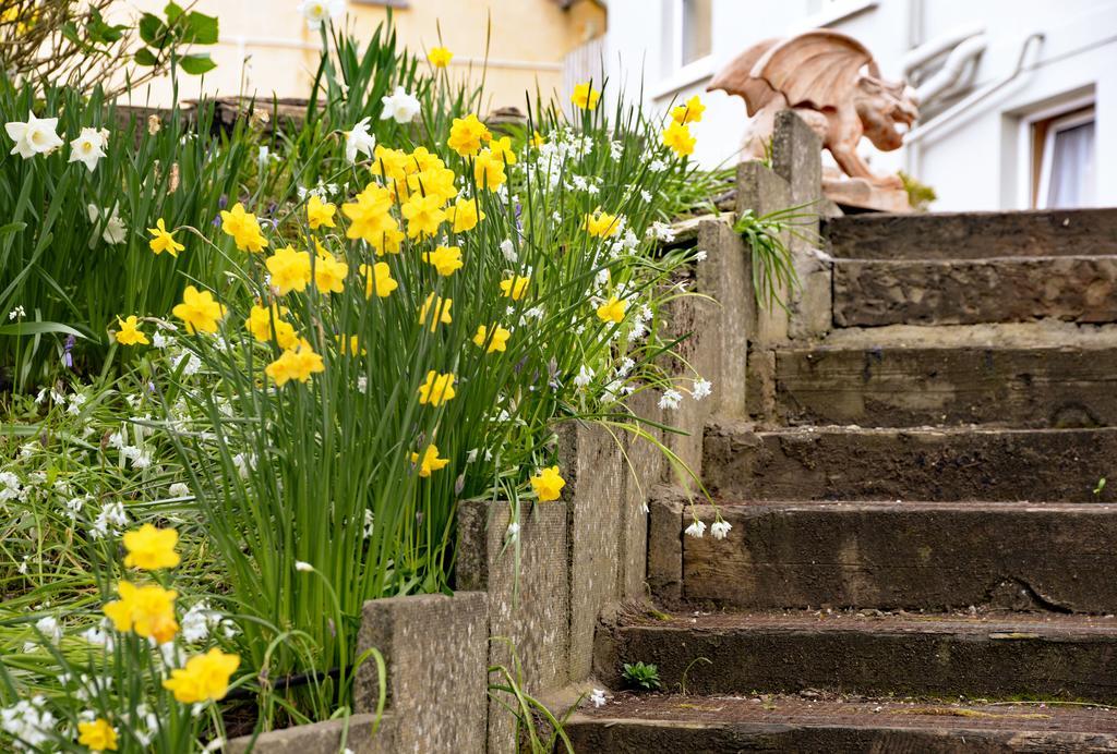 Gabriel House Bed & Breakfast Cork