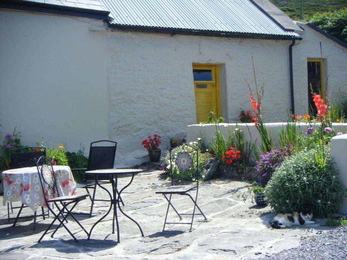 Homestay Dun Oir Farmhouse.bantry Co *