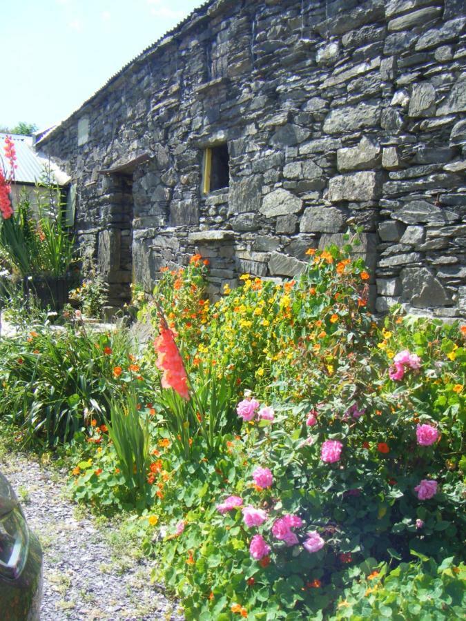 Dun Oir Farmhouse.bantry Co Homestay *