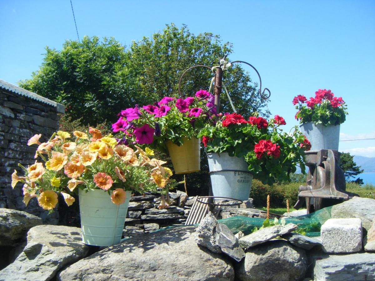 Dun Oir Farmhouse.bantry Co * Cork