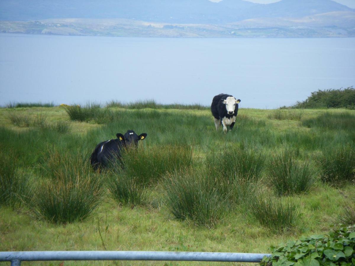 Homestay Dun Oir Farmhouse.bantry Co *
