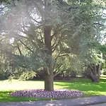 Brookfield Holiday Village