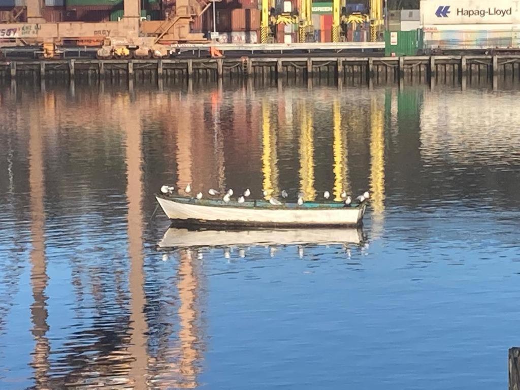 Blackrock Carole Ville Guesthouse 3* Cork