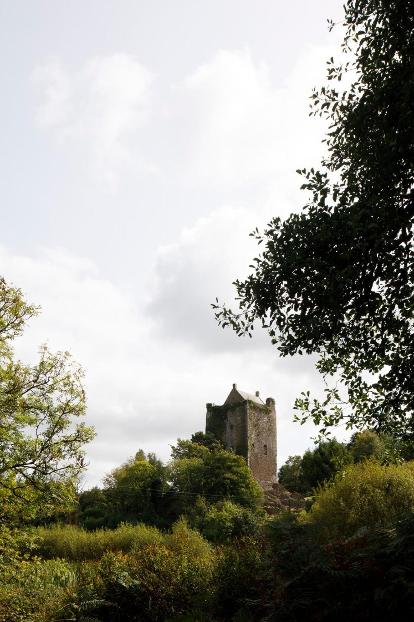 Dripsey Castle Estate *