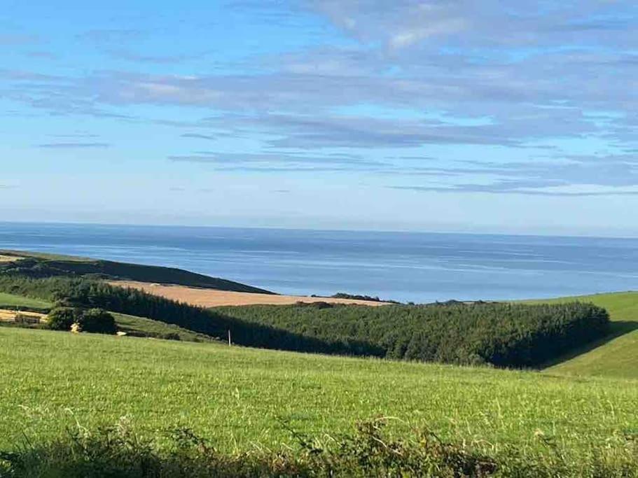 The Bird House - Coastal In Lovely Forest Setting Nr. Kinsale Cork