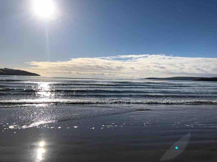 The Bird House - Coastal In Lovely Forest Setting Nr. Kinsale Holiday home Cork