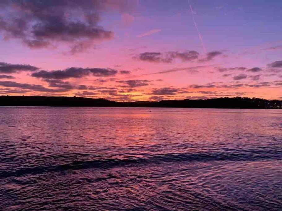 The Bird House - Coastal In Lovely Forest Setting Nr. Kinsale *