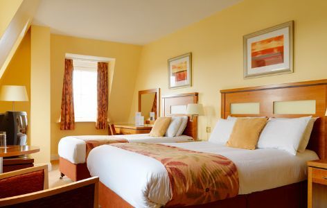 Maldron Shandon Hotel 4*