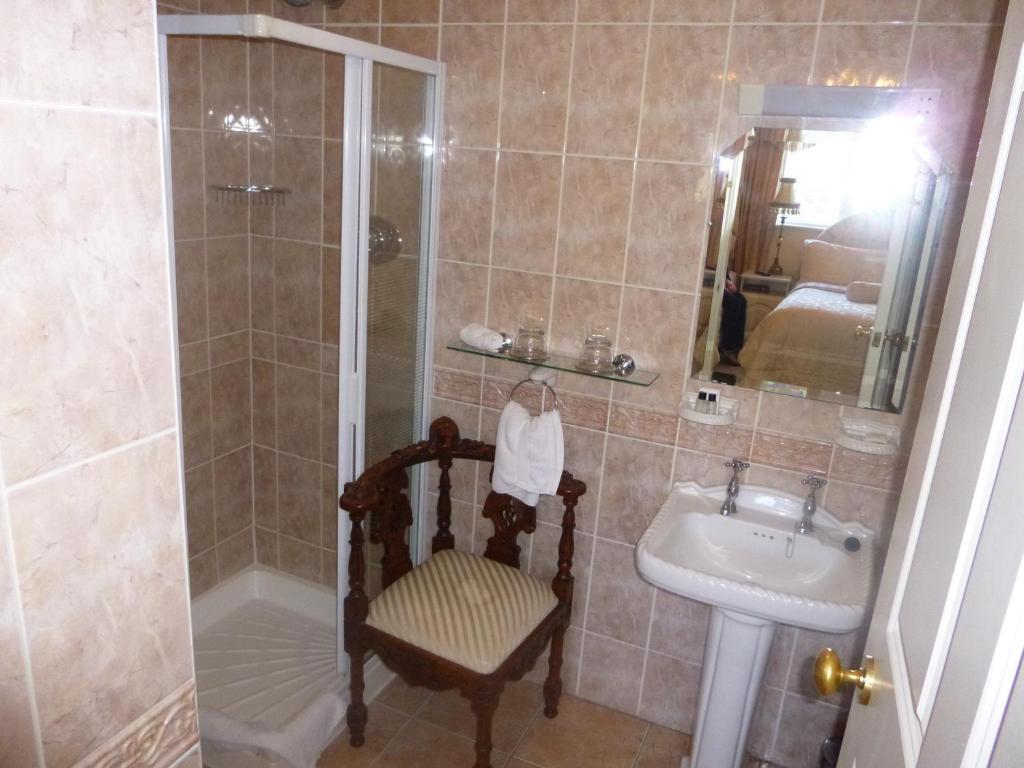 The Blarney Stone Guest house Cork
