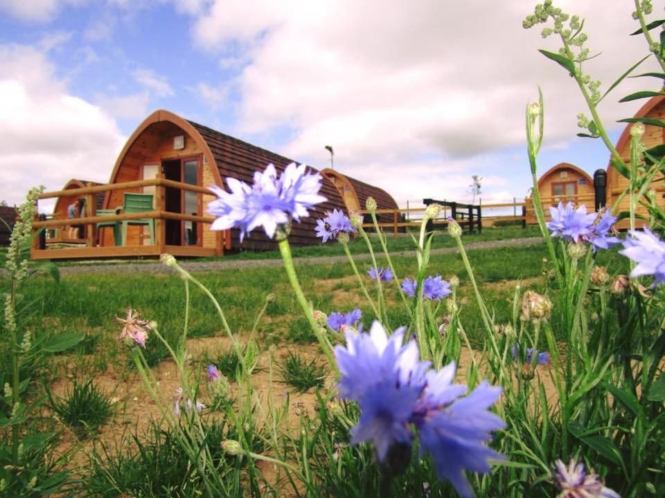 Ardmore Glamping Pods Lodge *
